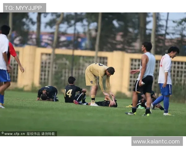 圣保罗与博塔弗戈对决前瞻及最新动态分析